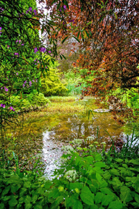 Westhope Garden